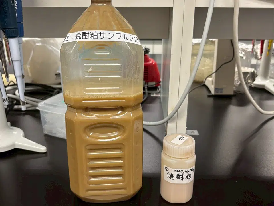 焼酎粕乳酸発酵液